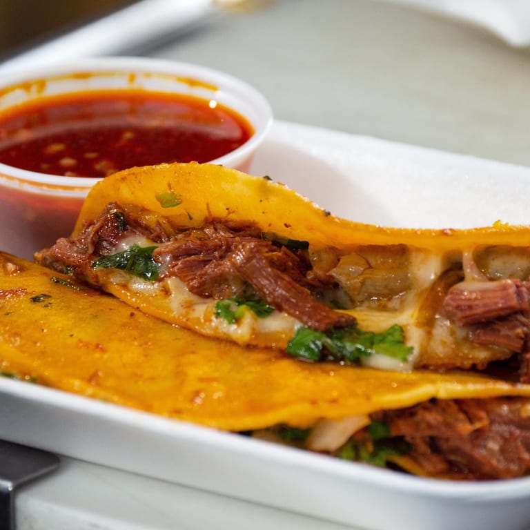 Delicious Birria Options